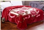 Raschel Printed Blanket