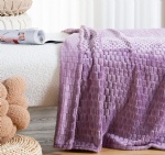 Flannel Jaquard Blanket