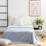 Double Velveteen Blanket